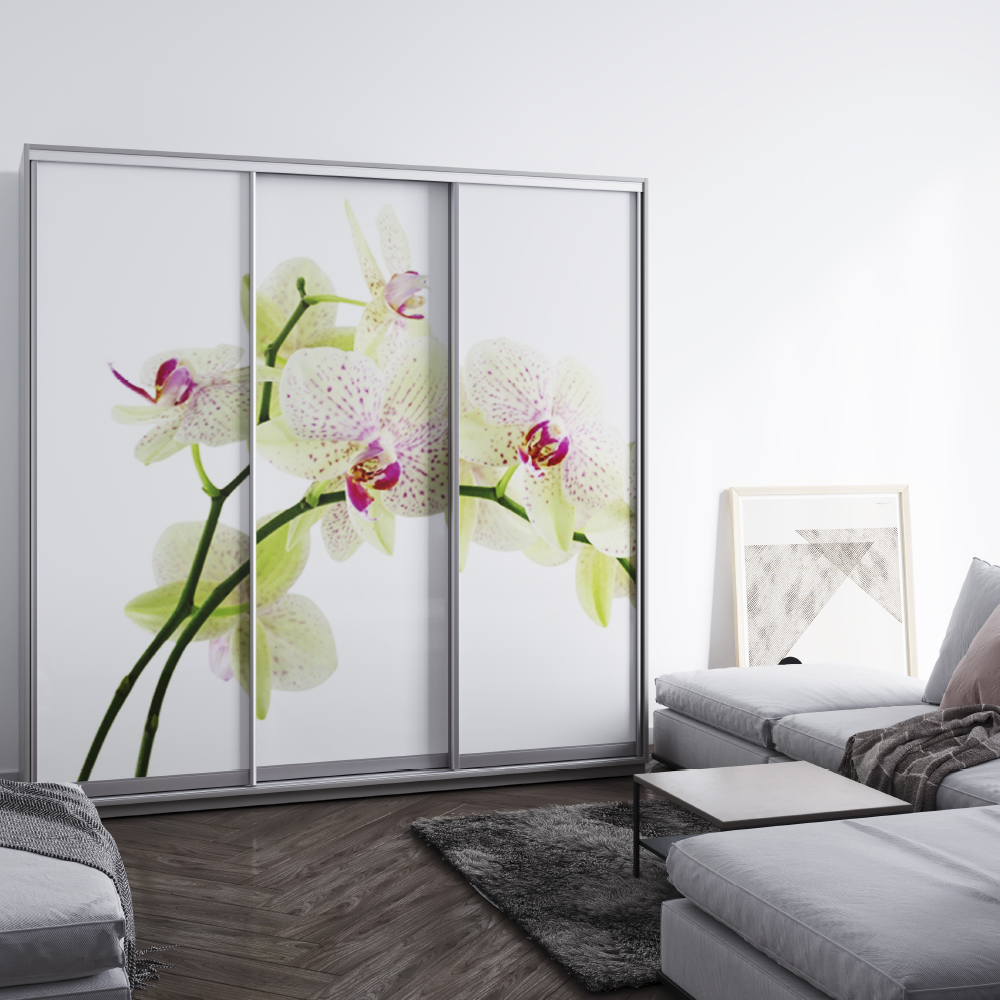 Шафа-купе BГ-216