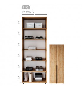 Шафа Сота P-90 Шафа Сота P-90